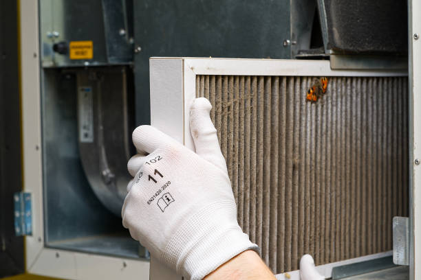 Best Air Quality Test  in Zwolle, LA