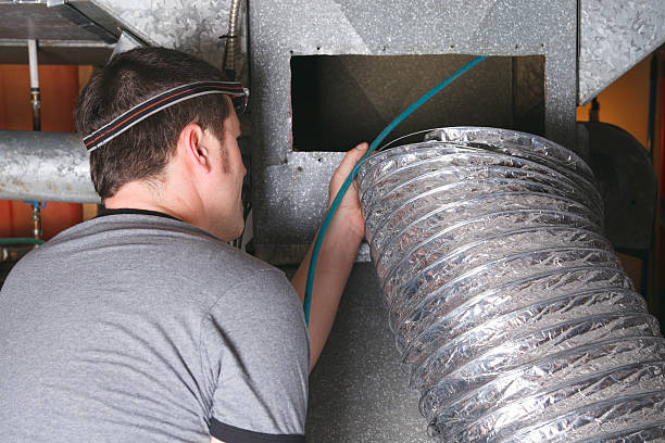 Best Air Duct Mold Removal  in Zwolle, LA